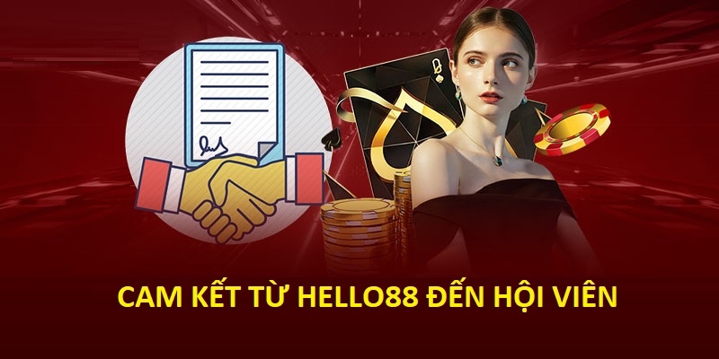 Cách nhà cái thu thập thông tin an toàn