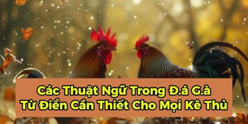 Các Thuật Ngữ Đá Gà Hello88 - Cẩm Nang Chi Tiết Cho Bạn 2 Nắm vững các thuật ngữ đá gà là điều vô cùng quan trọng cần thiết
