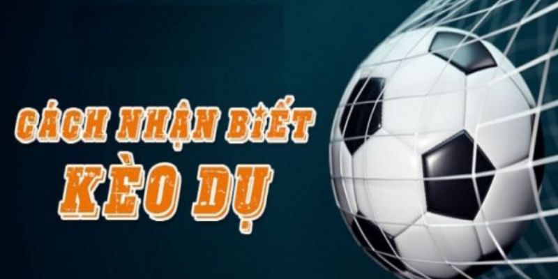 Khám phá ngay những cách nhận biết kèo dụ cực chi tiết