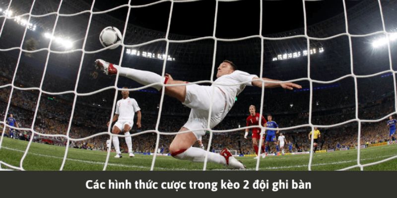 Khám phá các hình thức cược cực kỳ thú vị để lựa chọn